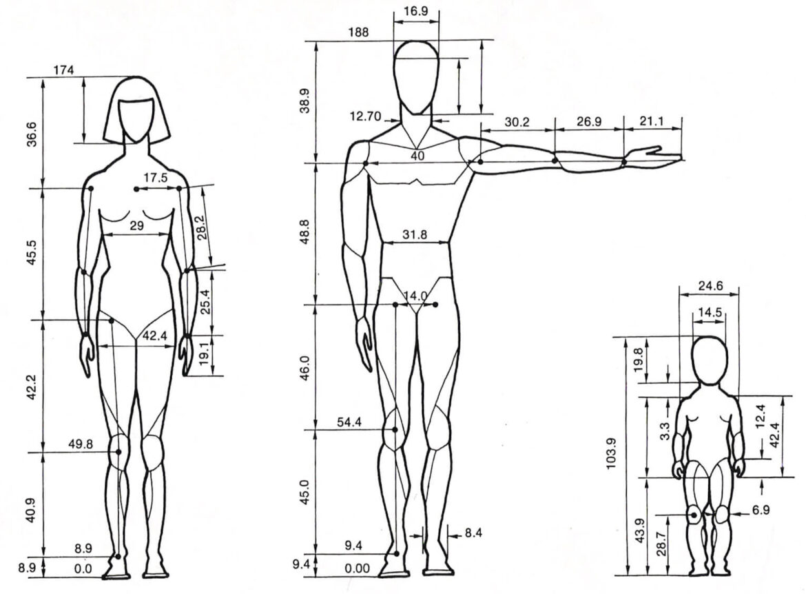 Body Base Drawing - Tips For Beginners | TeriWall