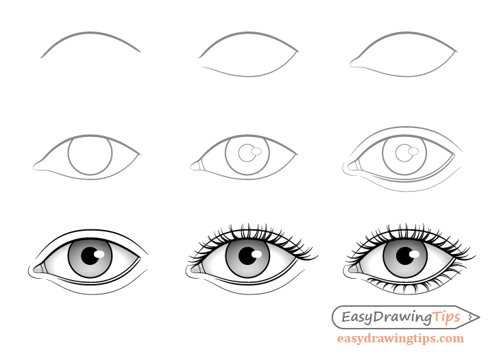 Body Base Drawing - Tips For Beginners | TeriWall