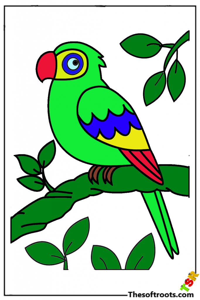 How to Draw Cartoon Parrot Drawing