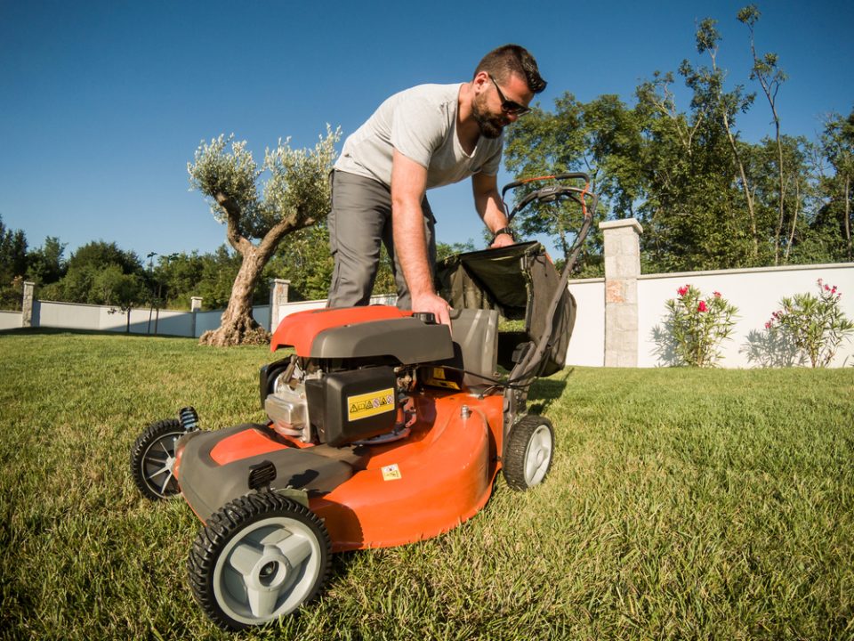 battery lawn mowers australia