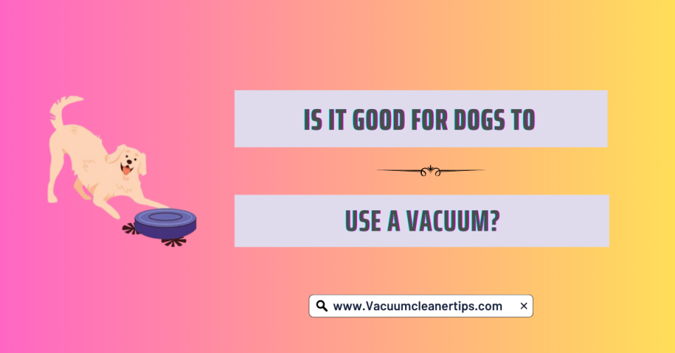 Best vacuum for german shepherd hair